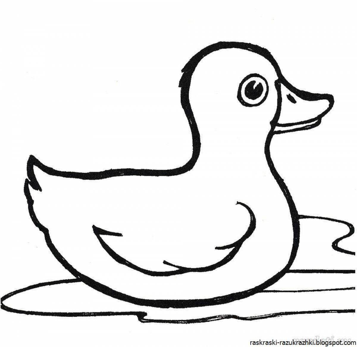 Friendly coloring duck