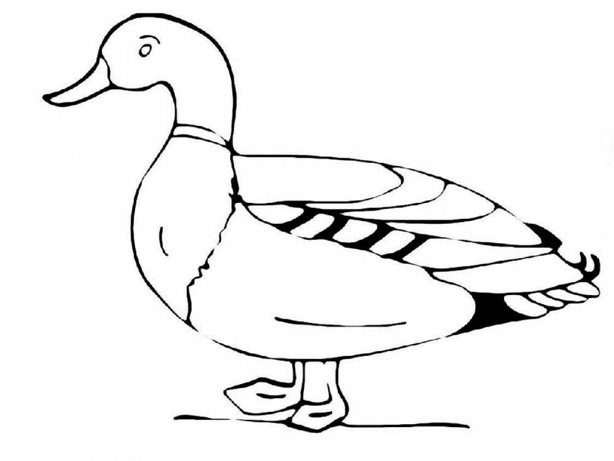 Fancy coloring duck