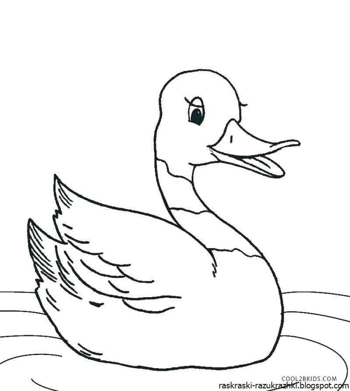 Silly duck coloring book