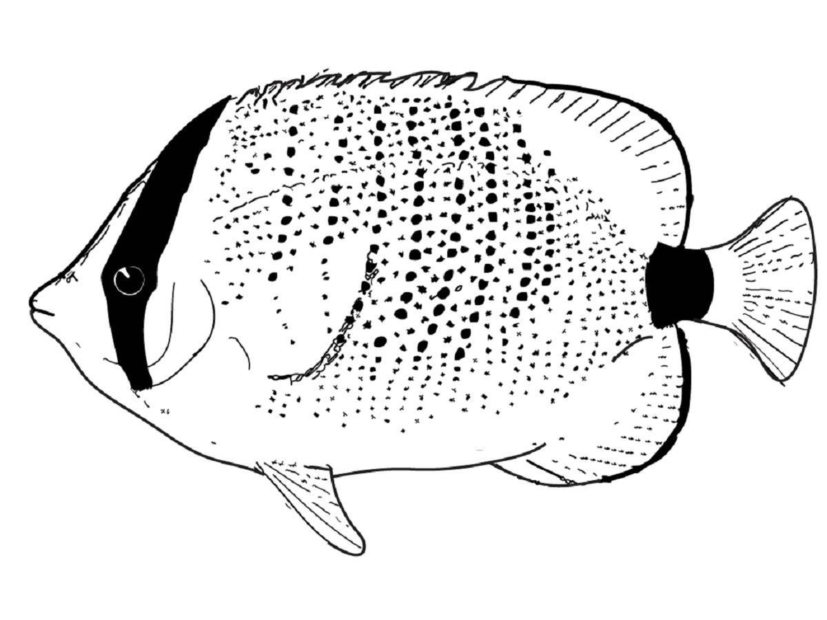 Анимированная раскраска рыба