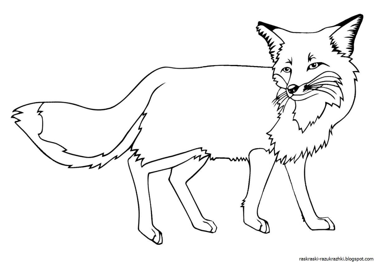 Colorful fox coloring book