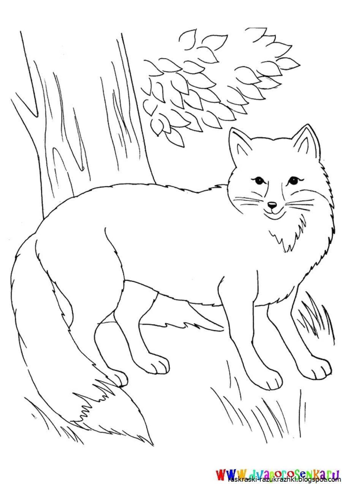 Animated fox coloring book