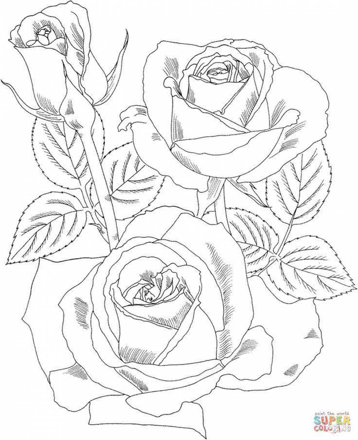 Majestic rose coloring page