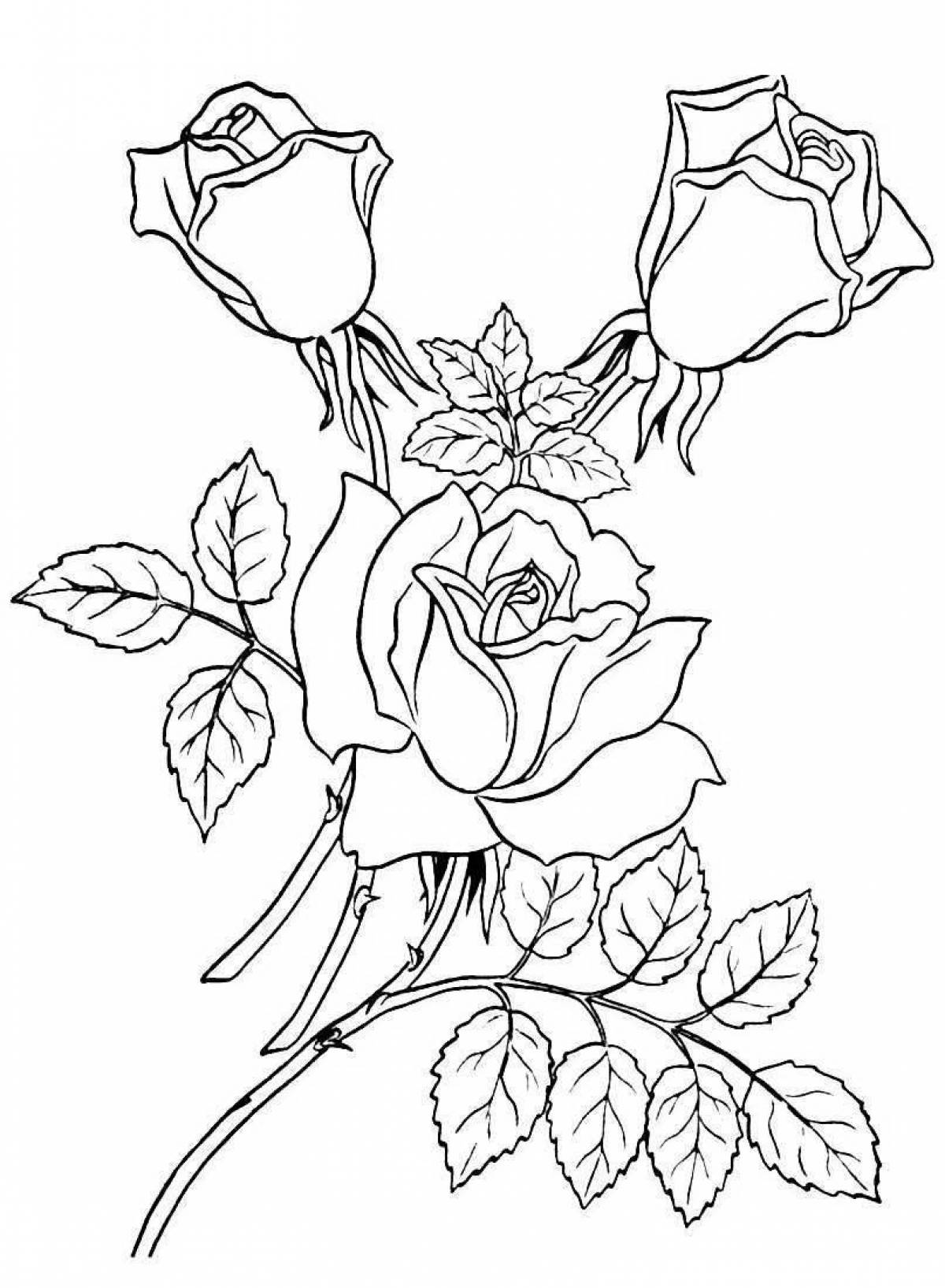 Photo Amazing rose coloring book