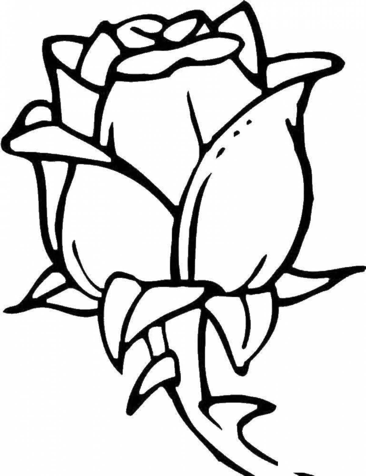Photo Flowering rose coloring page