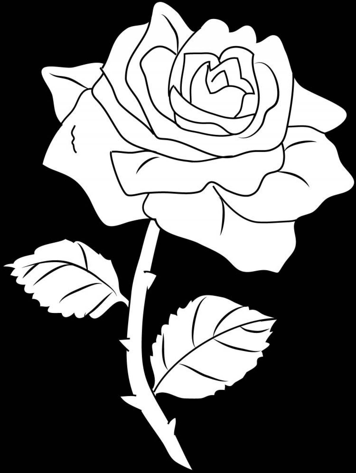 Flowering rose coloring book