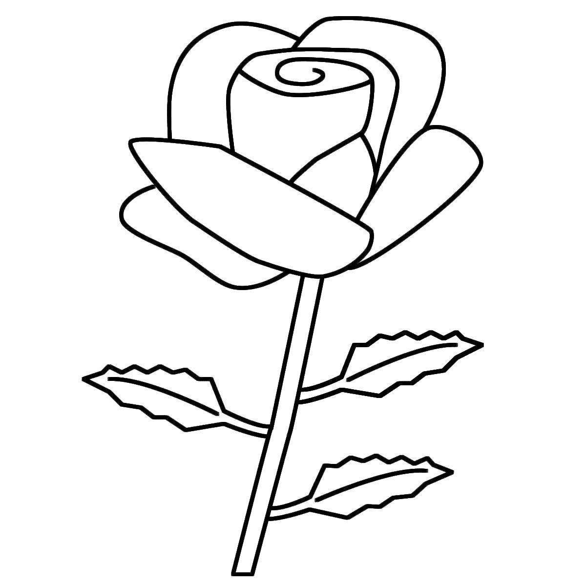 Finished coloring page rose