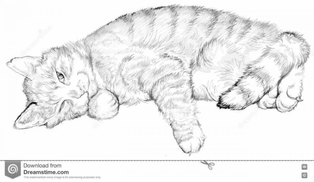 Раскраска «уютно лежащий кот»