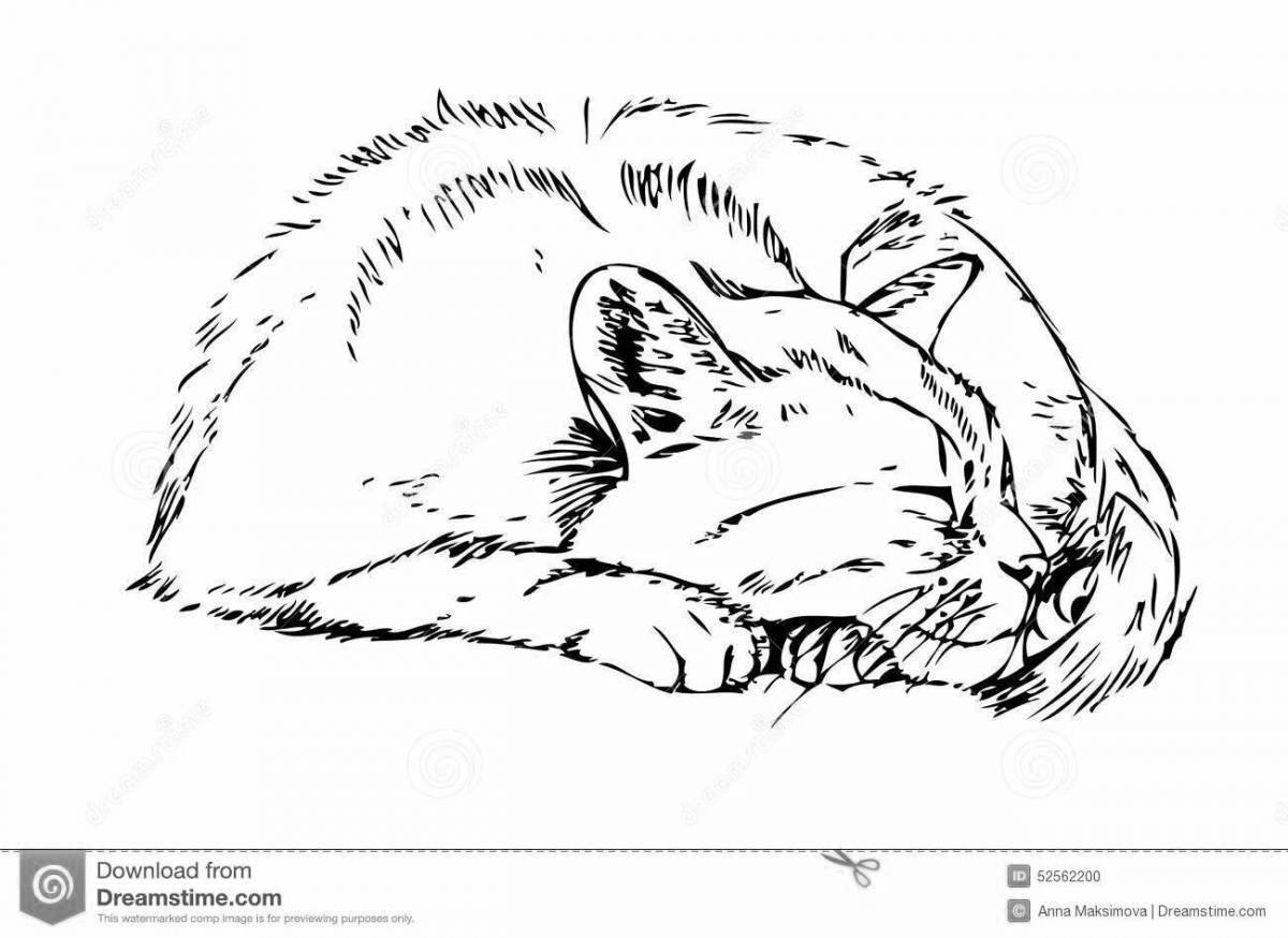 Раскраска ласковая кошка лежит