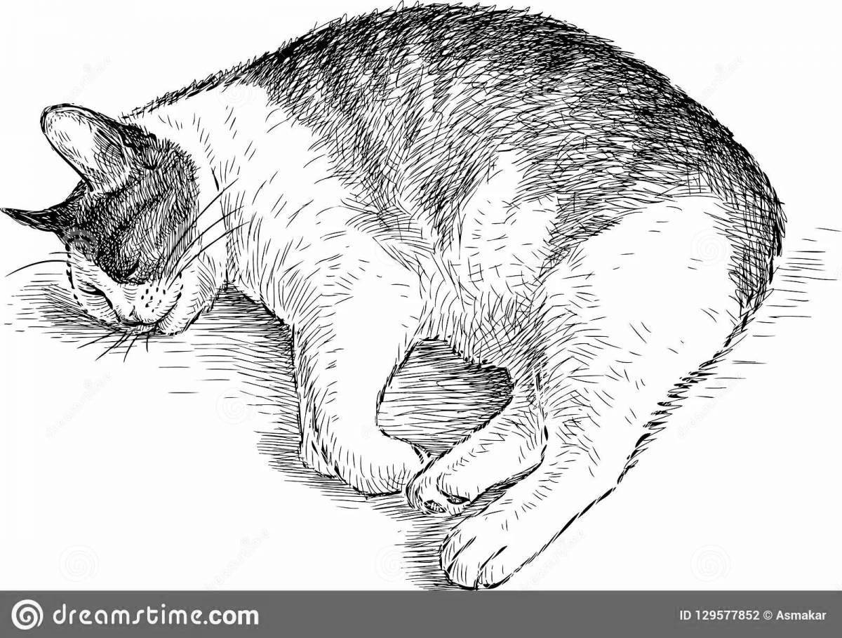 Раскраска довольный лежащий кот