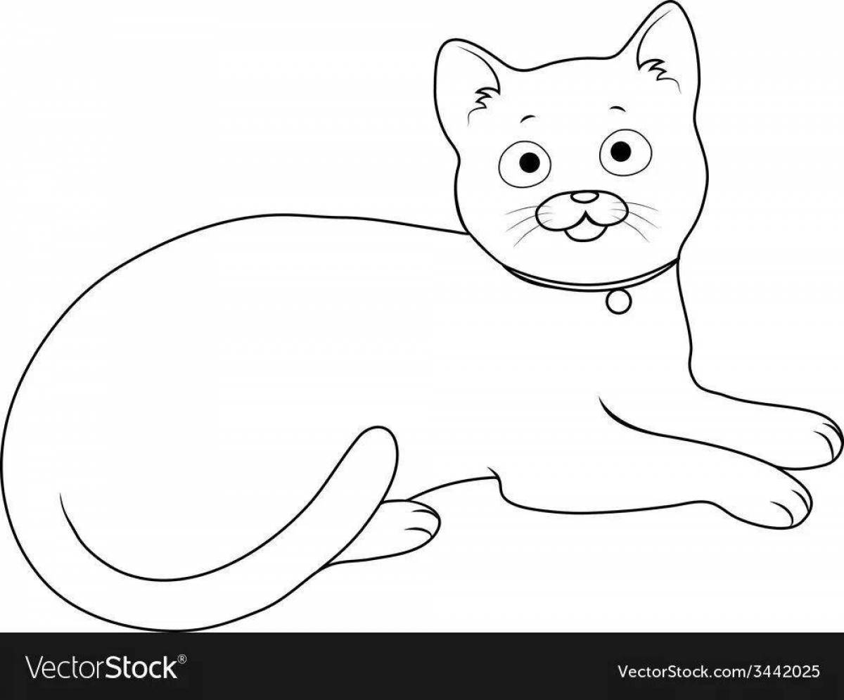 Coloring book lying enthusiastic cat