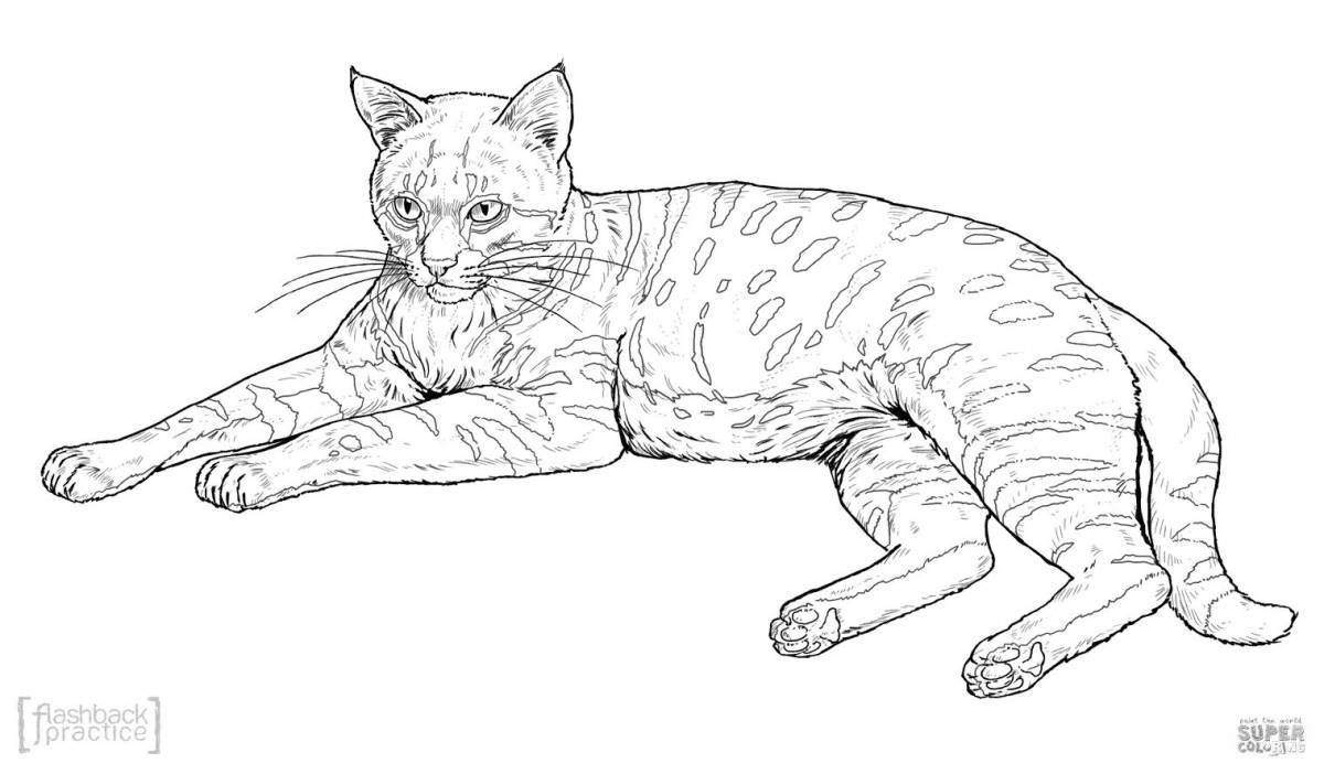 Coloring page excited cat lies