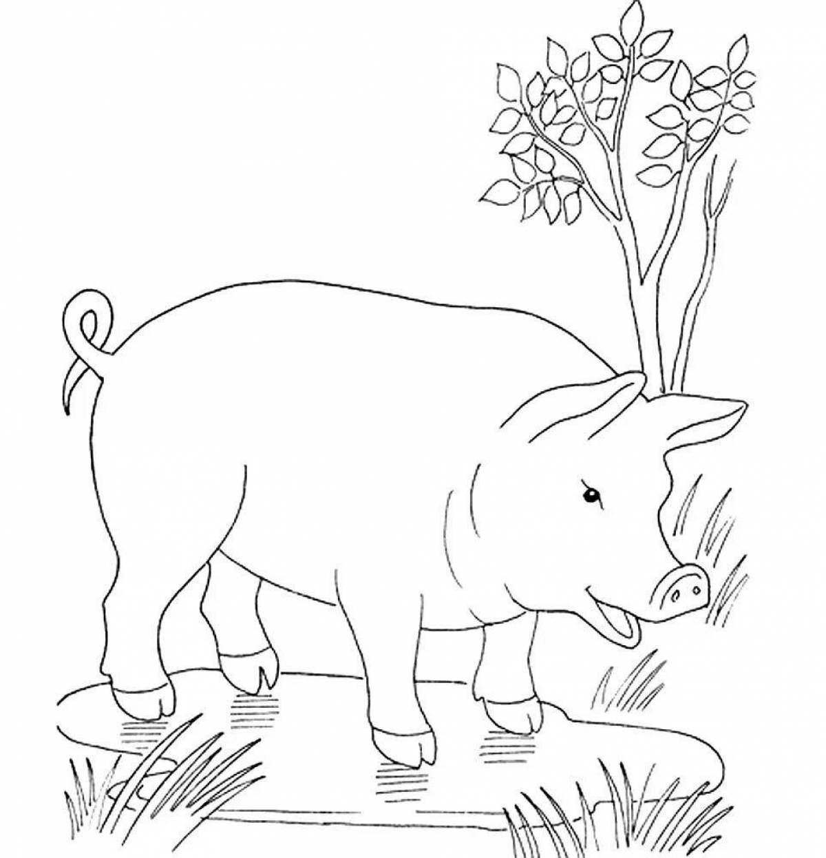 Outlandish piggy bank coloring book