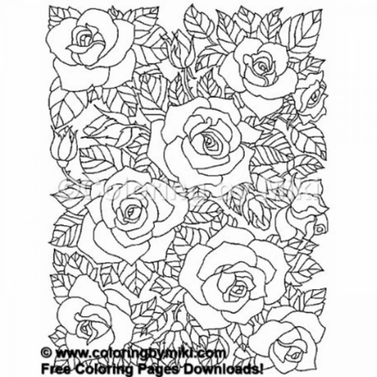 Bright coloring anti-stress roses