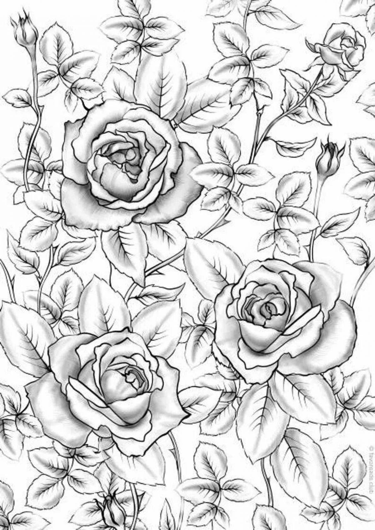 Изящные раскраски антистрессовые розы
