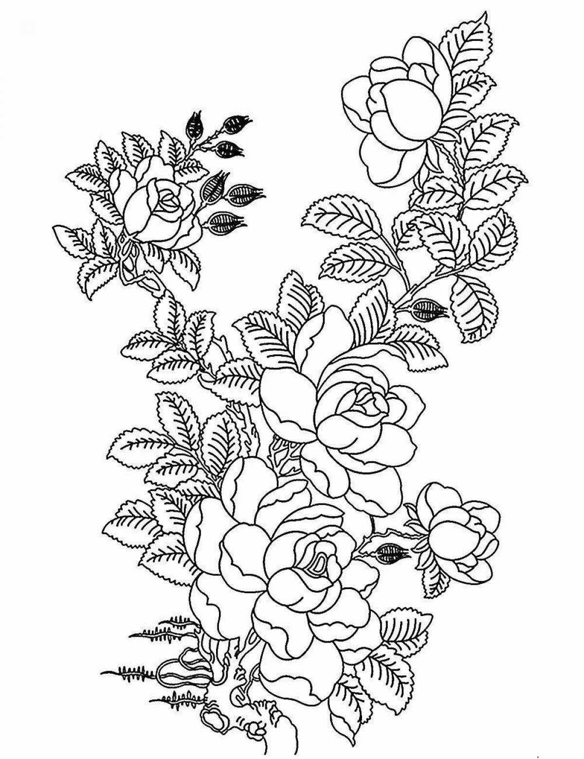 Exotic coloring pages anti-stress roses
