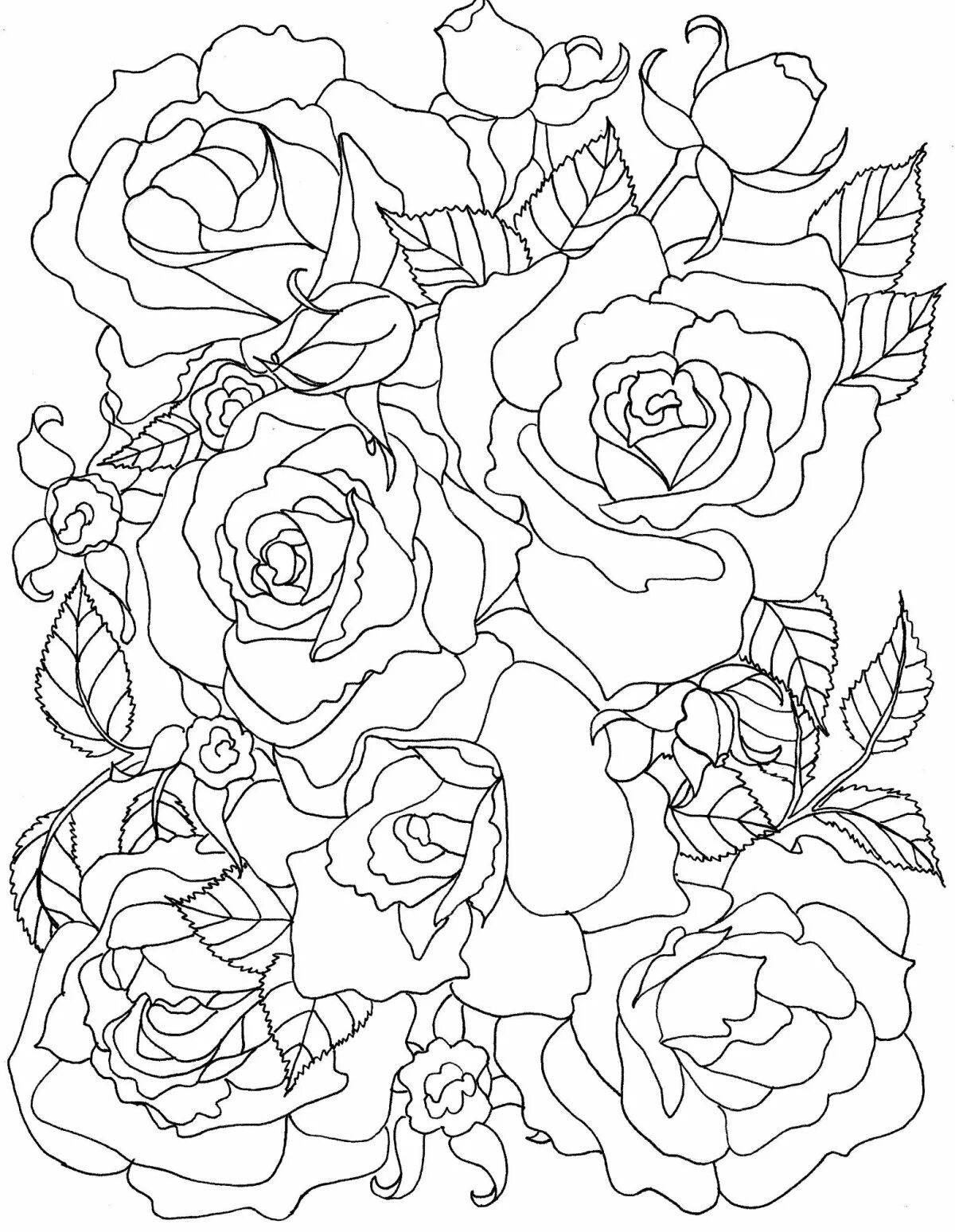 Royal coloring anti-stress roses