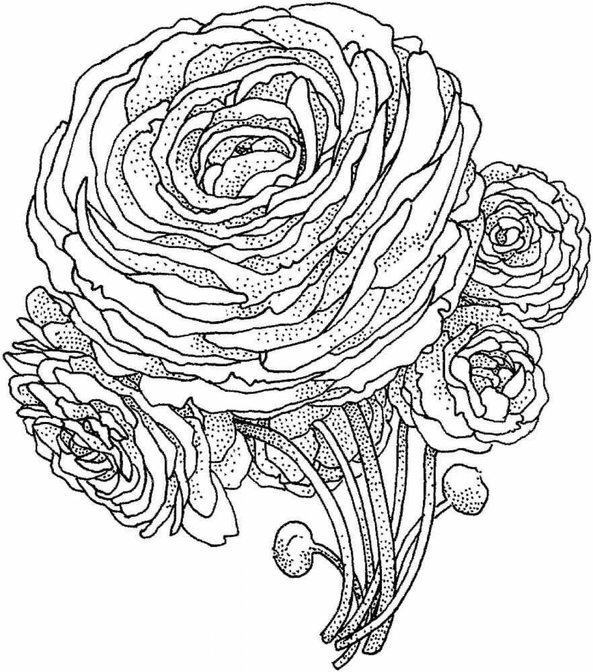 Velvety coloring anti-stress roses