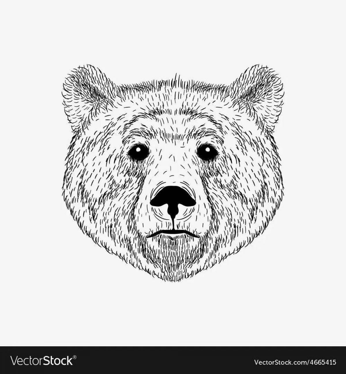 Coloring head of a cheerful bear