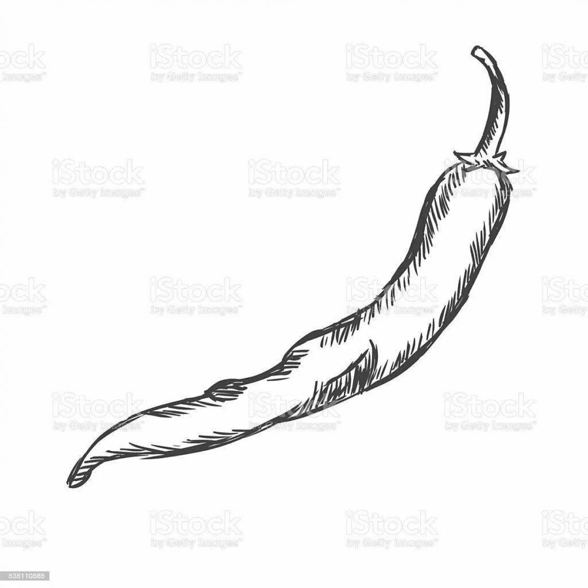 Exciting chili coloring page