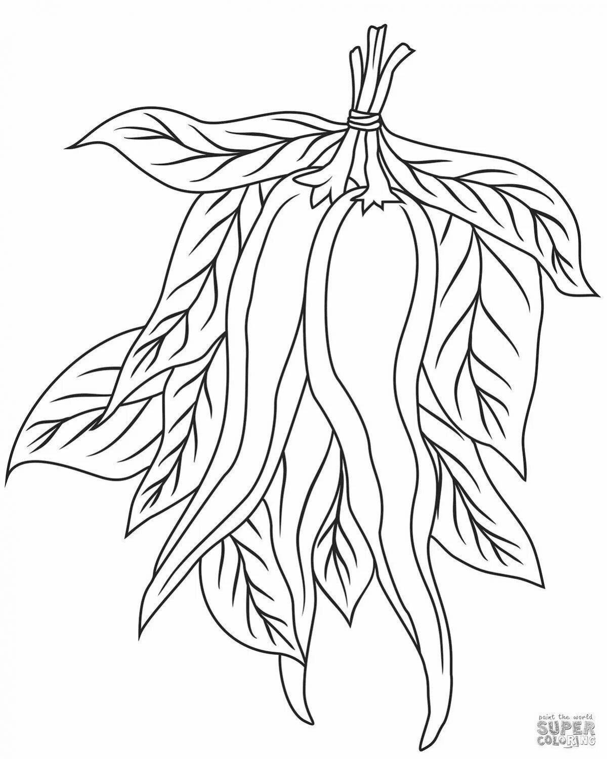 Living chili coloring page
