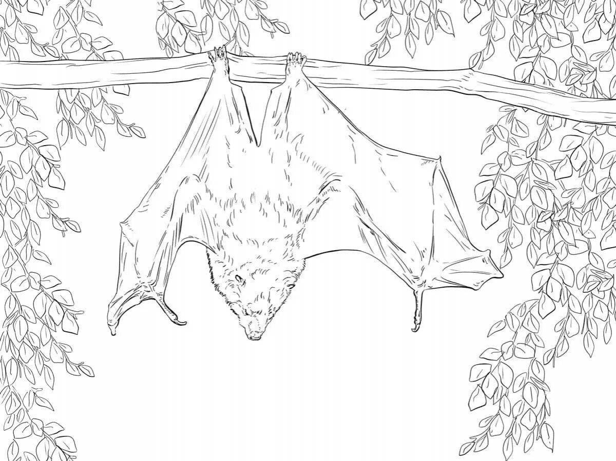 Coloring funny bat