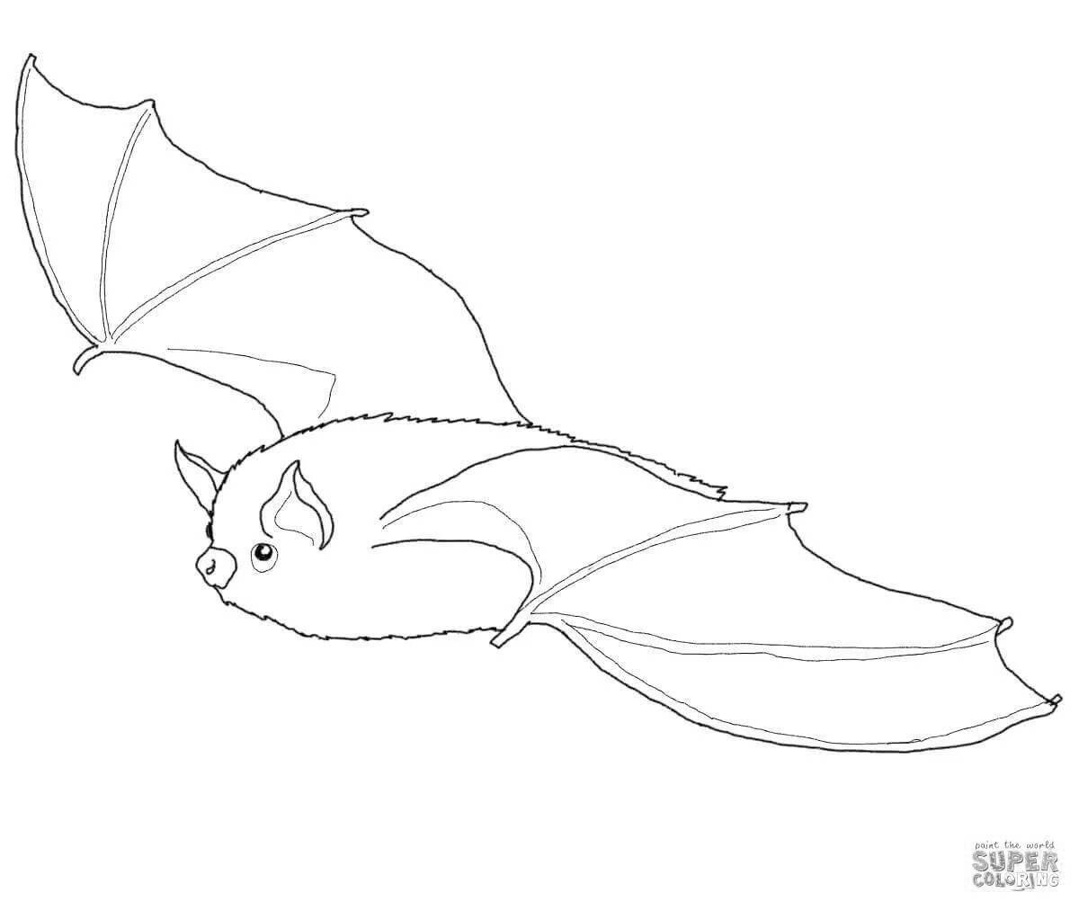 Coloring page dazzling flying mouse