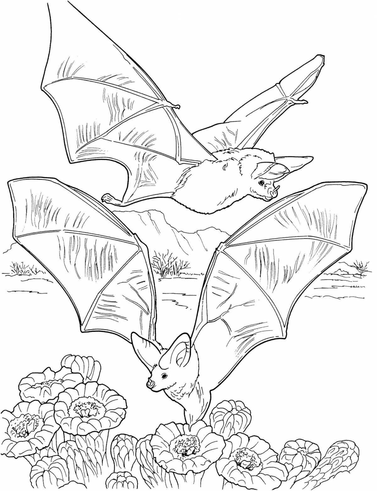 Fantastic bat coloring page