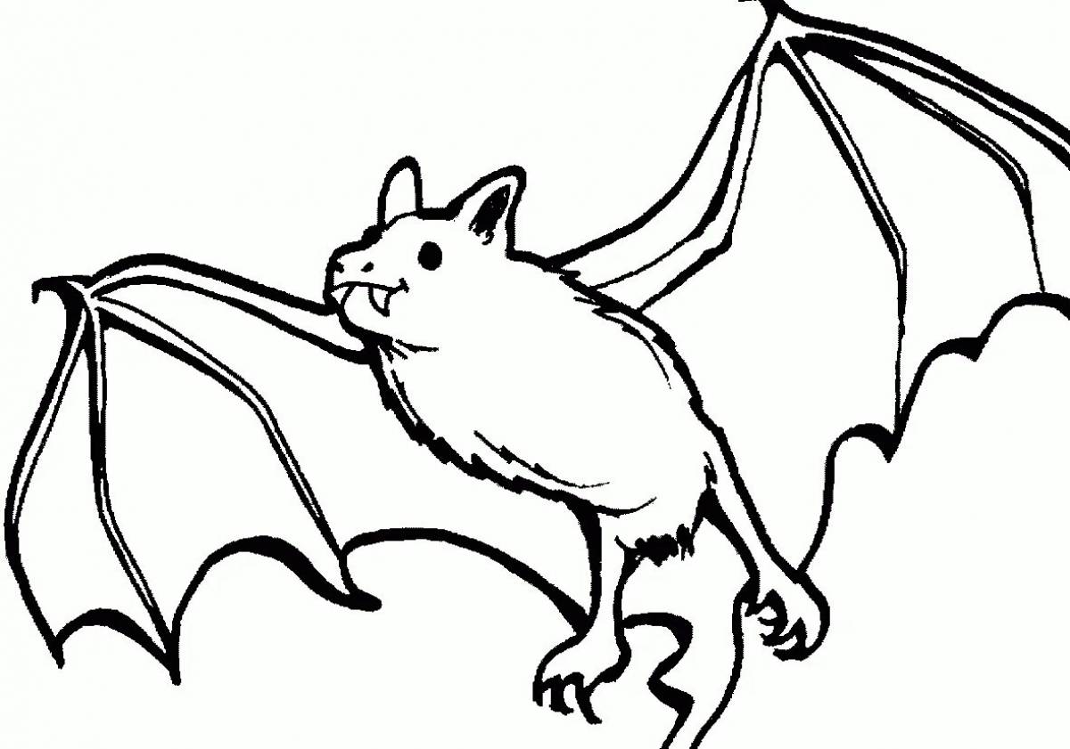 Large flying mouse coloring book