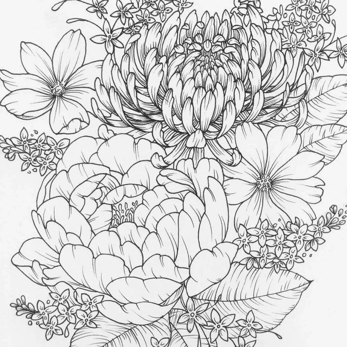 Photo Detailed coloring page of compound colors