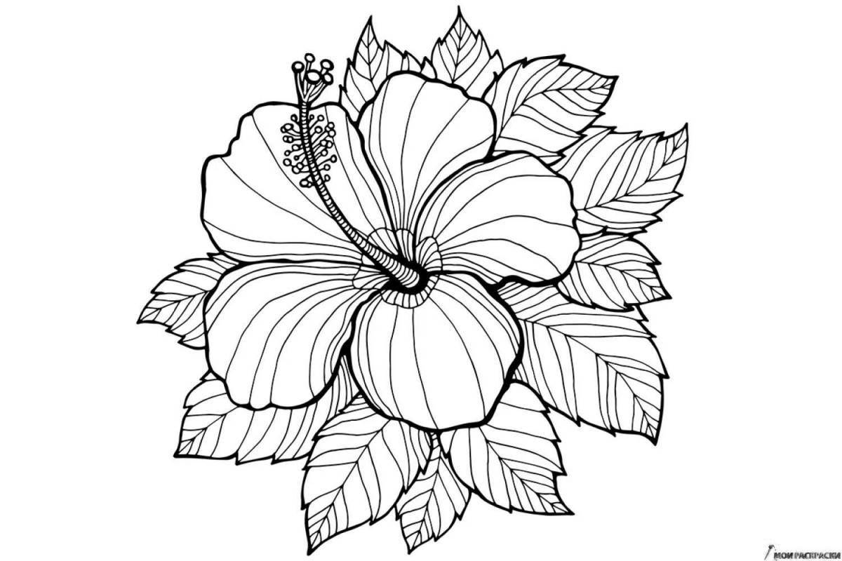 Fascinating intricate flower coloring book