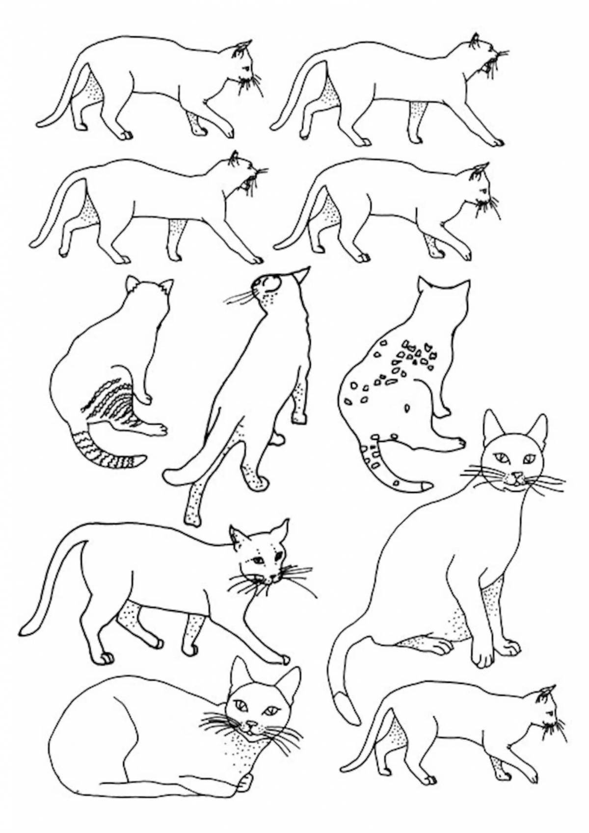 Fancy cats coloring book