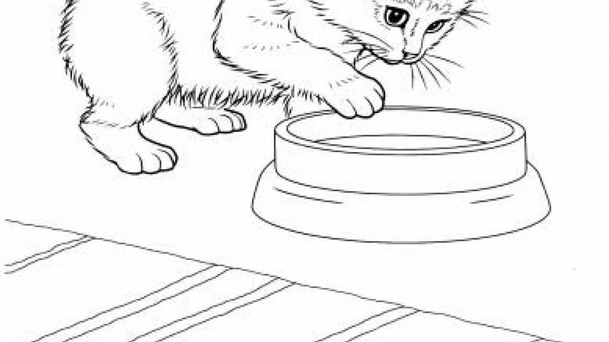 Majestic real cat coloring book