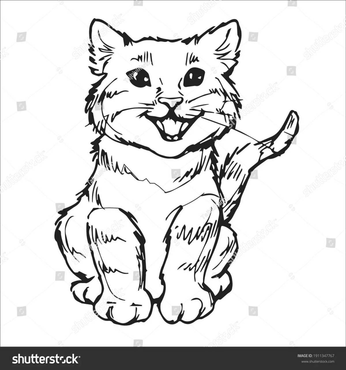 Coloring book inquisitive real cat