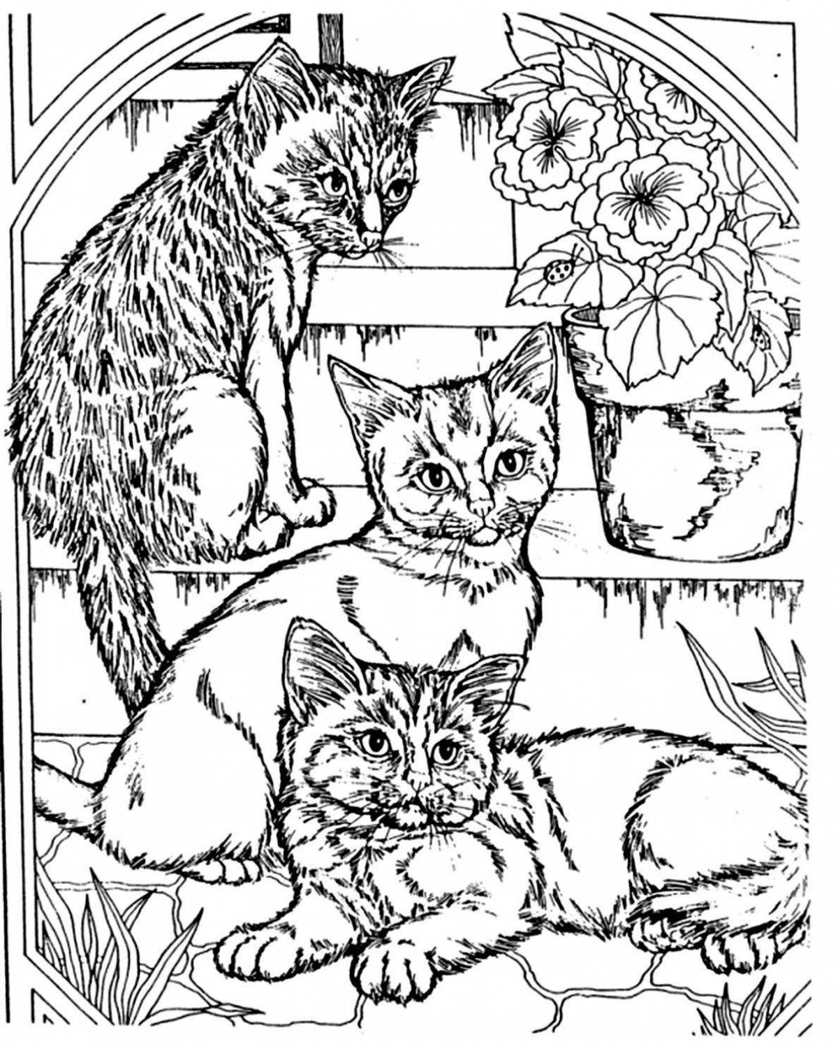 Cunning real cat coloring page