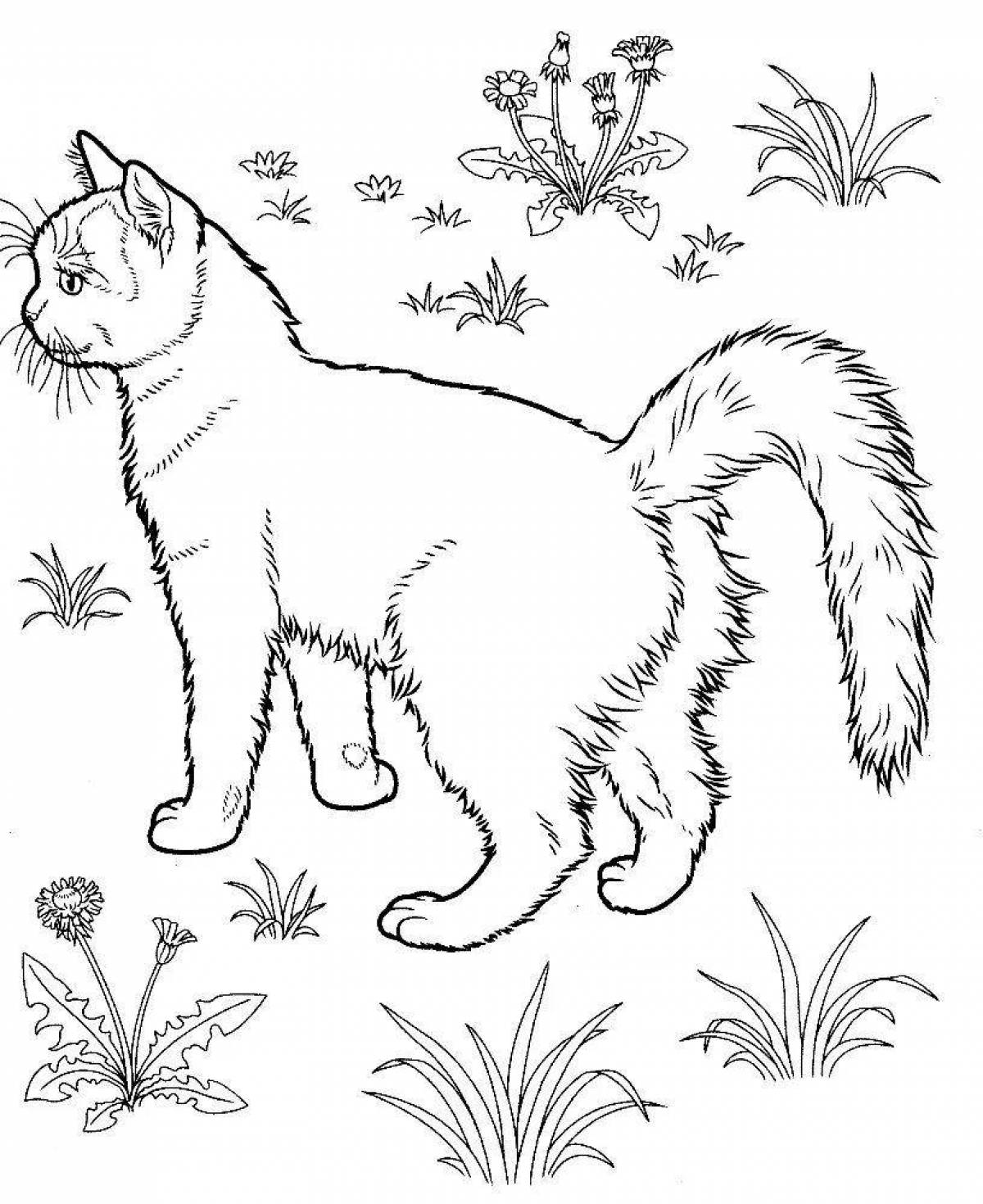 Coloring page energetic real cat