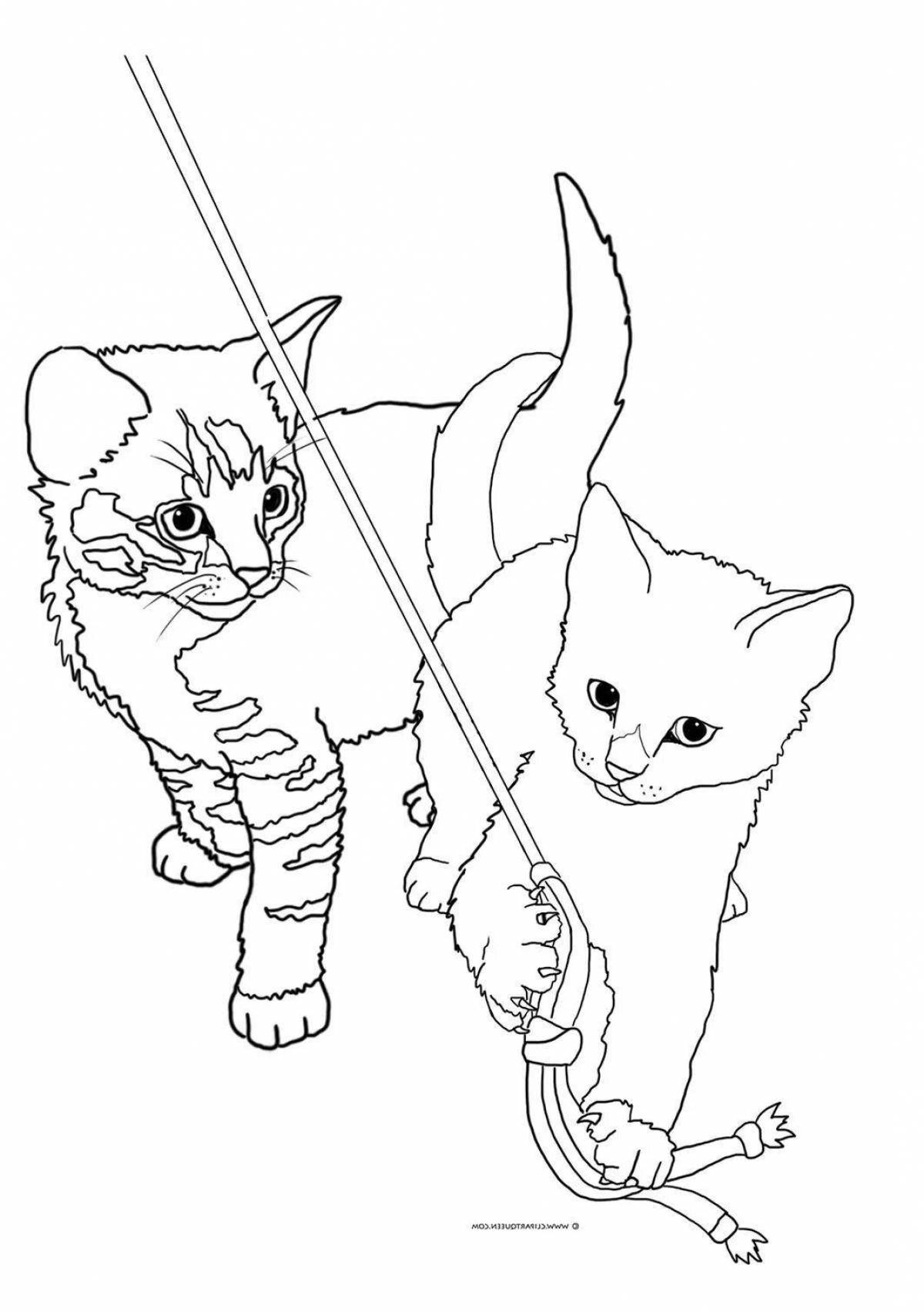 Real cat coloring page