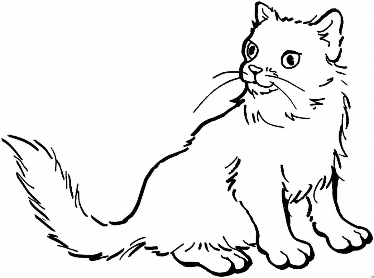 Fluffy real cat coloring book