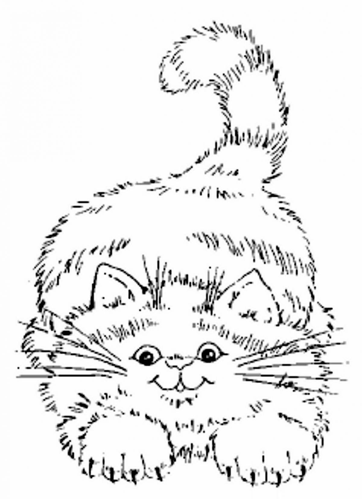 Coloring page playful fluffy cat