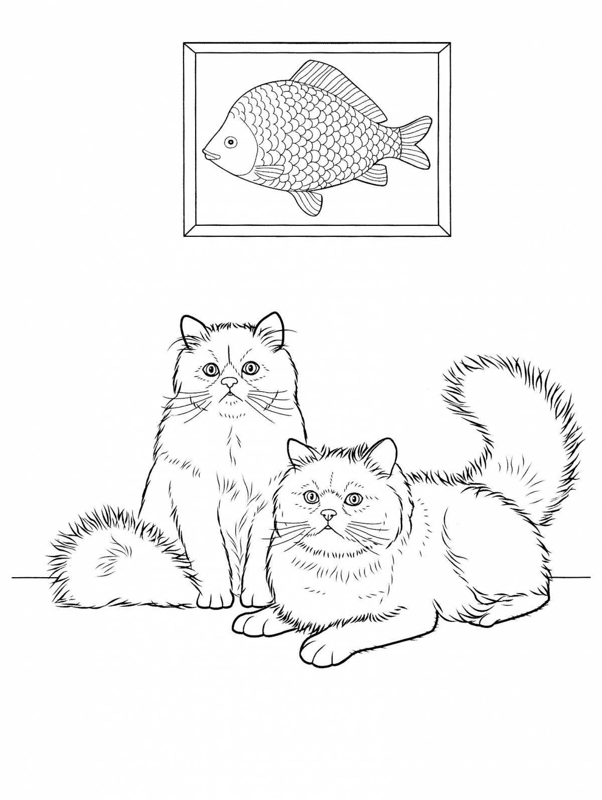 Coloring book fluffy british shorthair cat