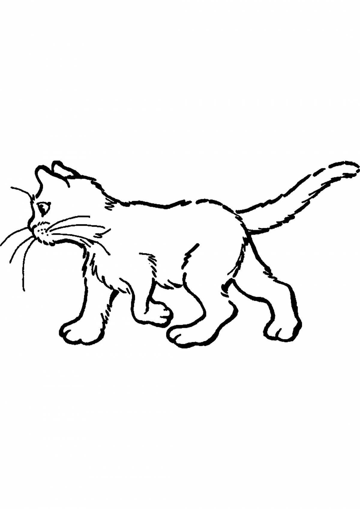 Coloring page fluffy devon rex cat