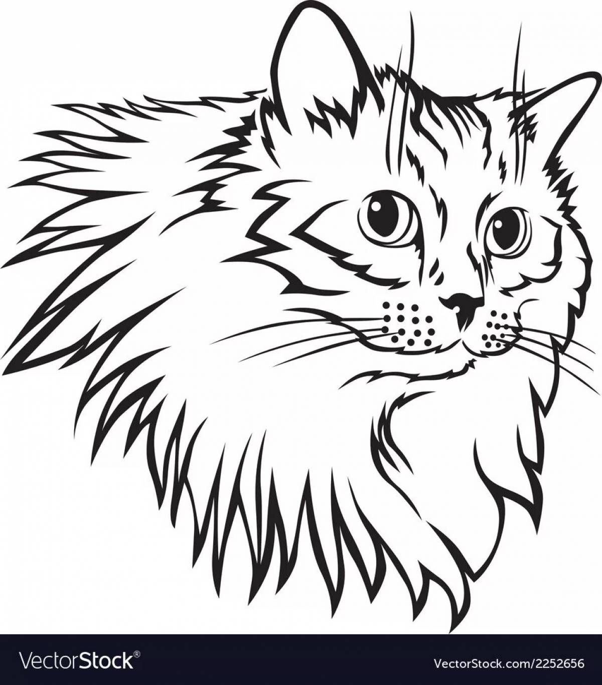 Coloring page fluffy american curl cat