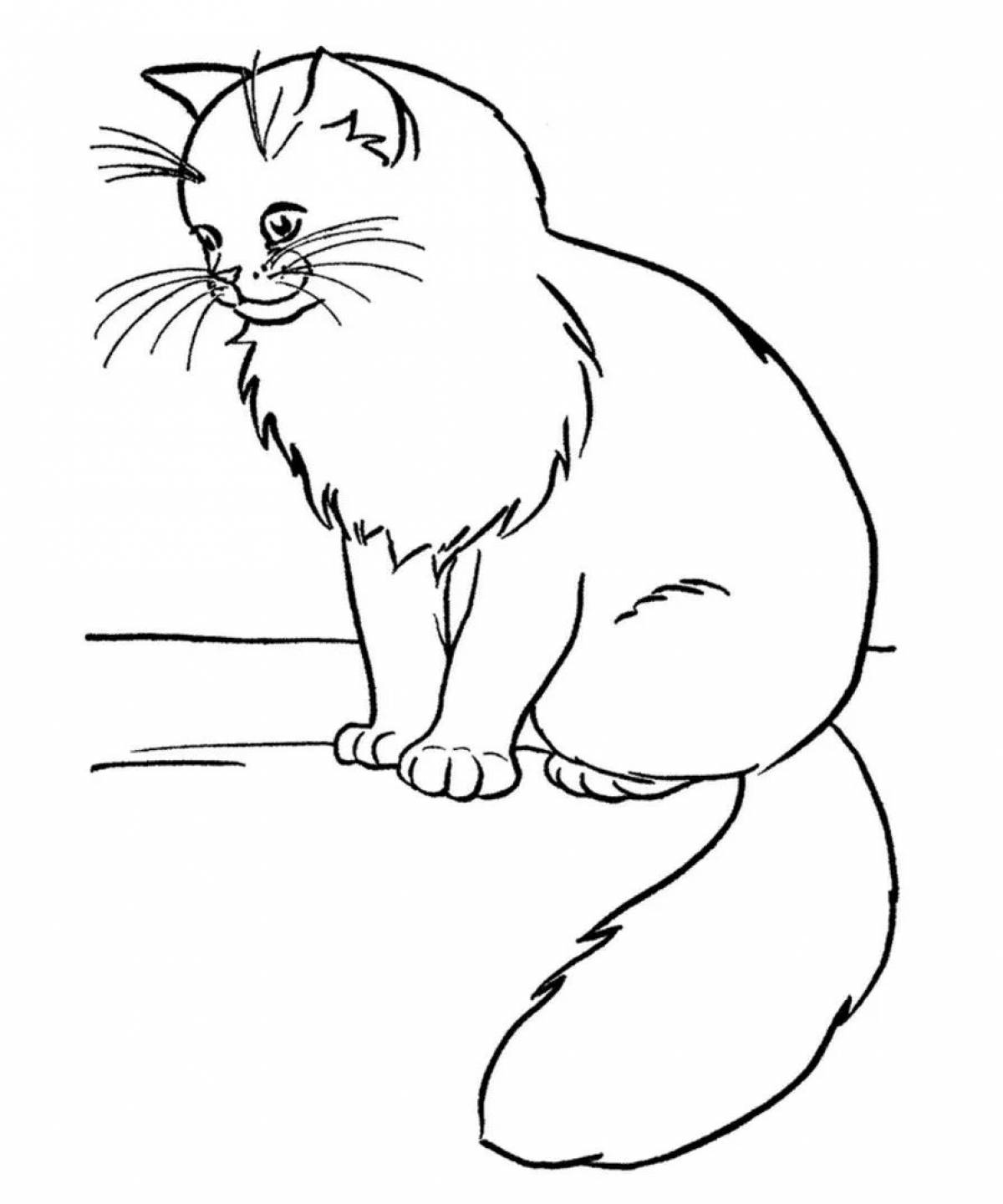 Раскраска пушистая яванская кошка
