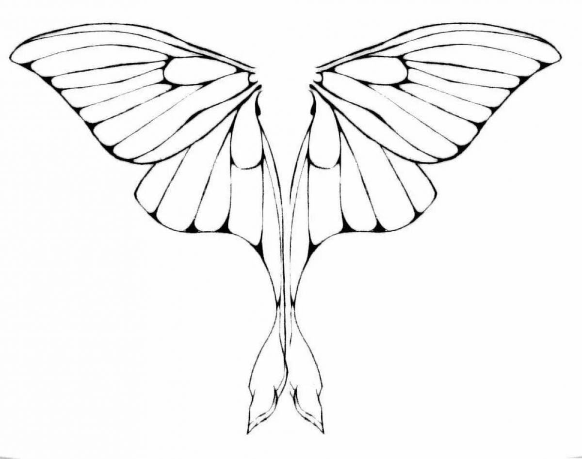 Нежная раскраска крылья бабочки