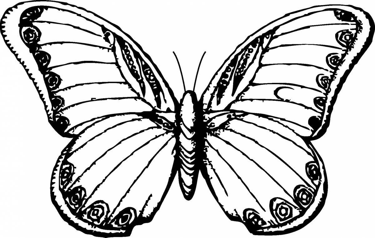 Beautiful butterfly wings coloring book