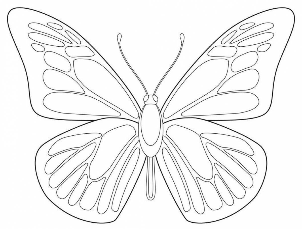 Delightful butterfly wings coloring book