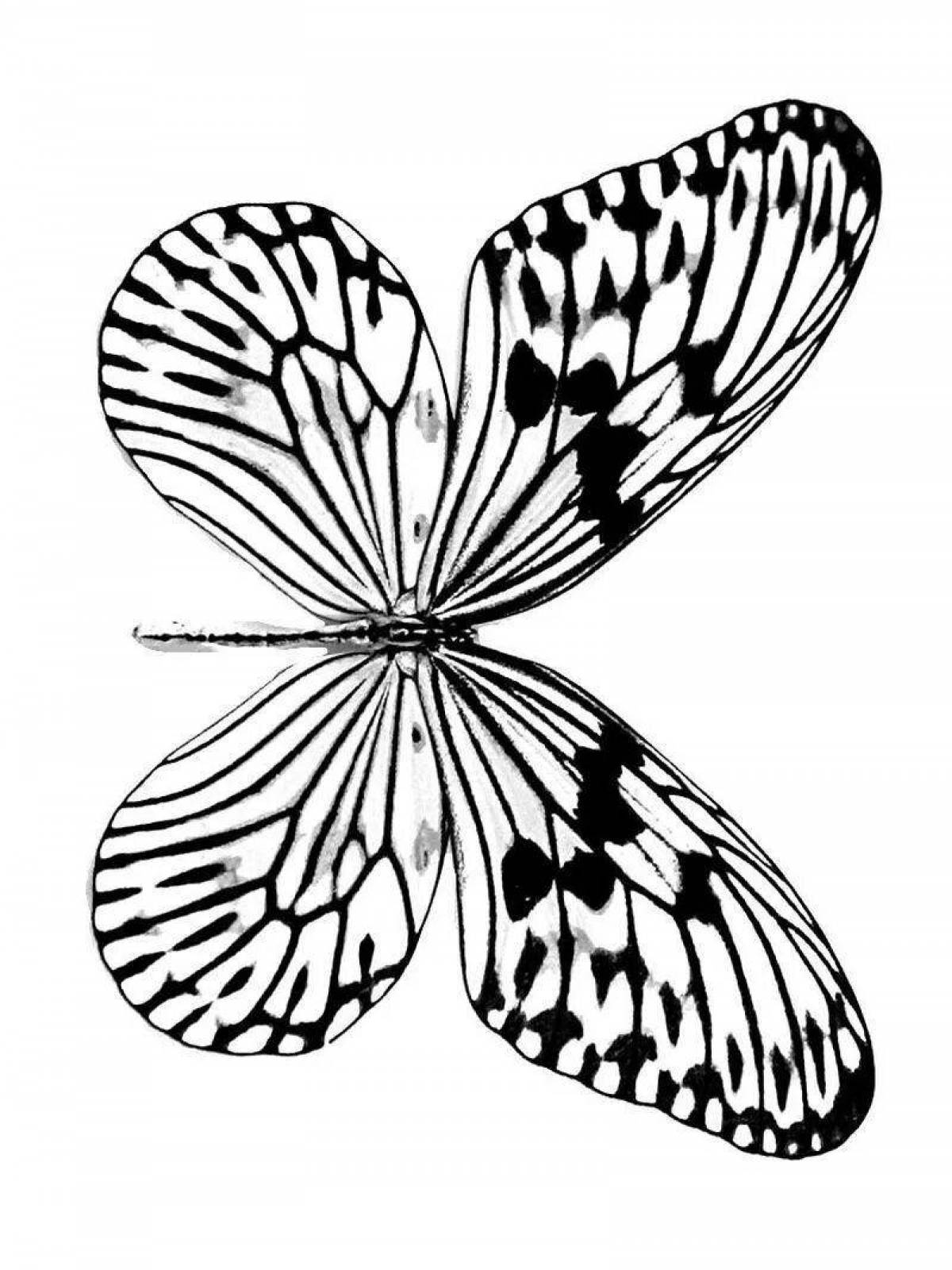 Sparkling butterfly wings coloring book