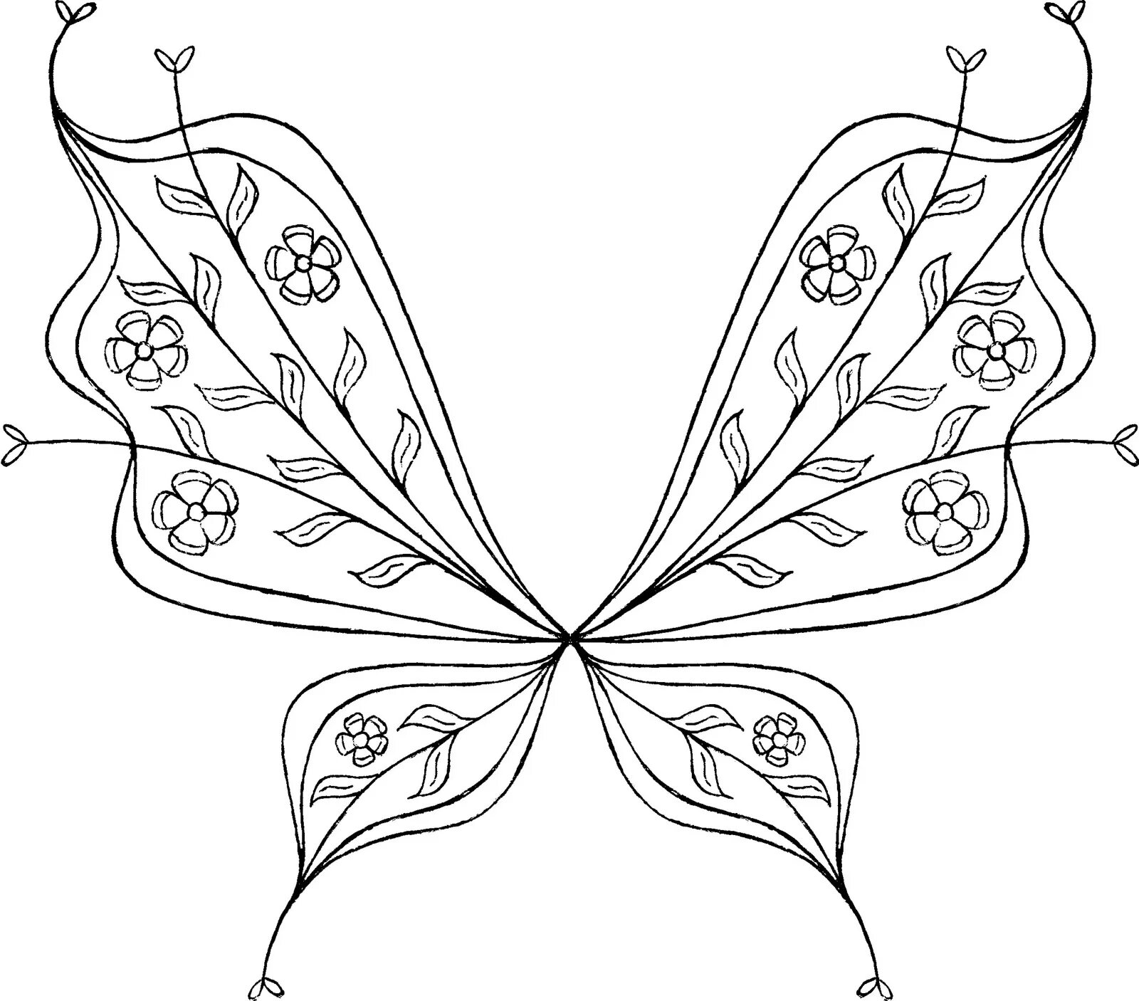 Раскраска Крылья бабочки