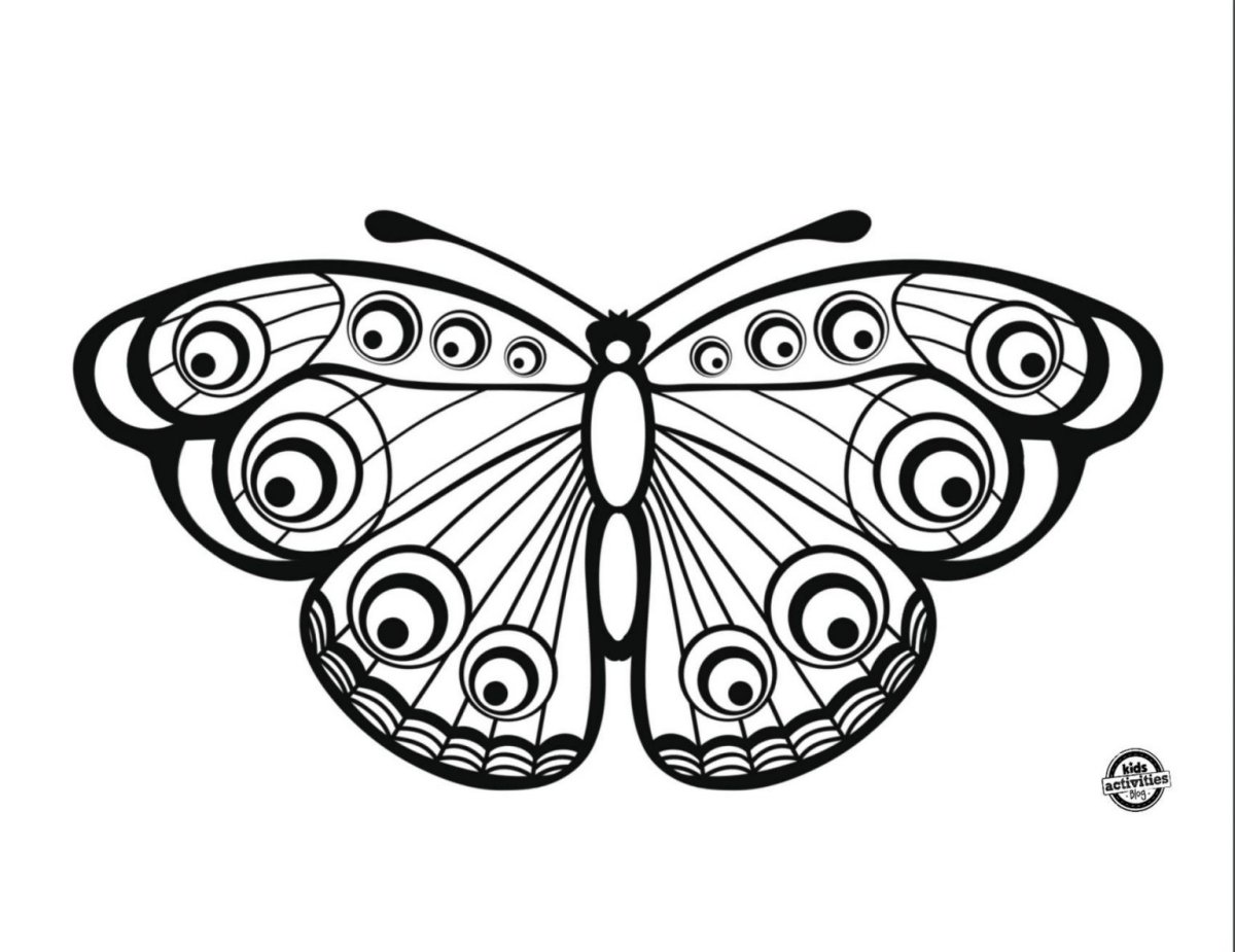 Крылья бабочки #4