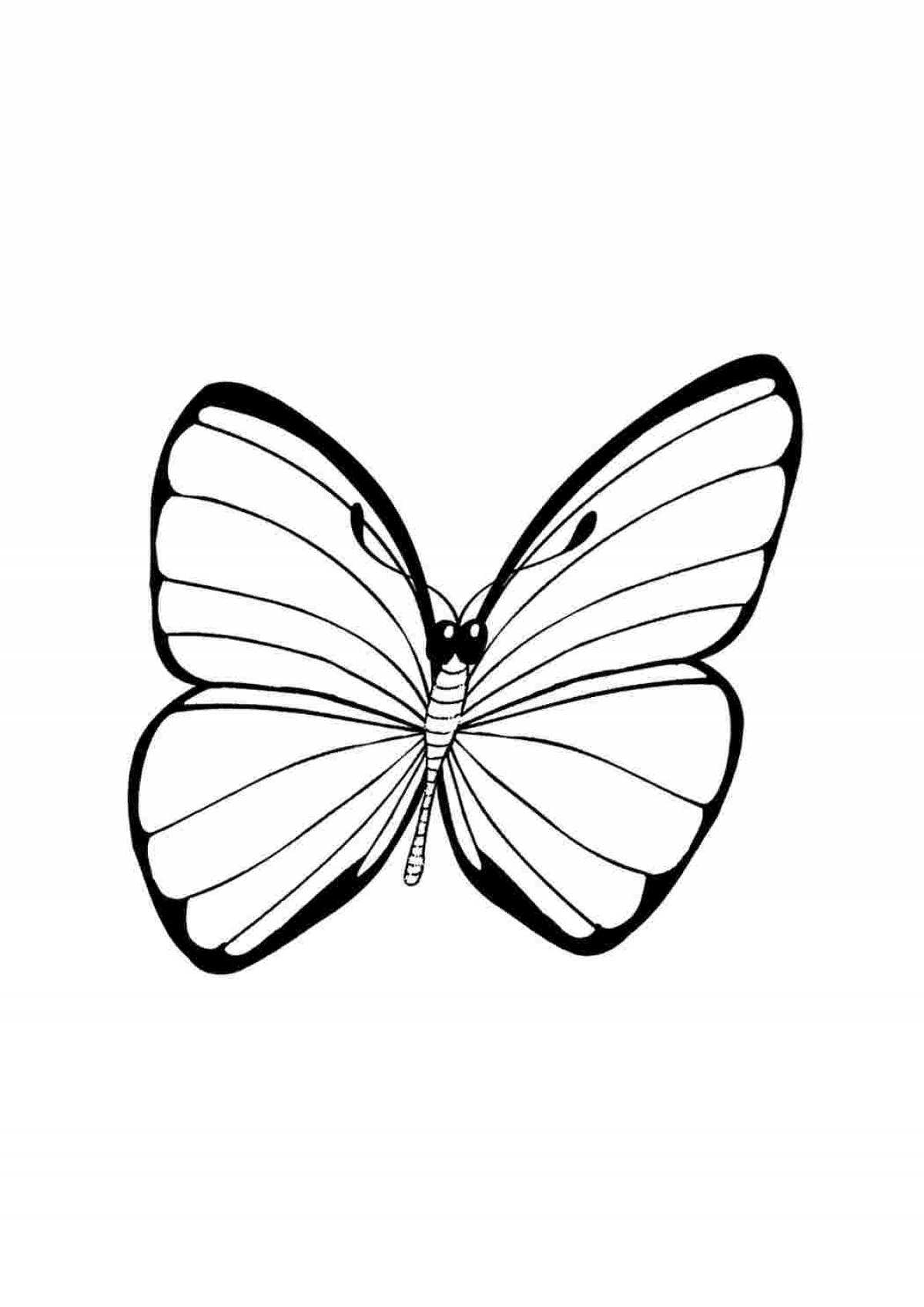 Крылья бабочки #5